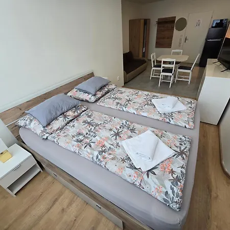 Spirit Apartments, With Garage Parking Possible 公寓 *